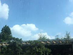 -上海浦东康桥绿地假日酒店