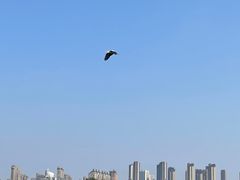 -东湖景区