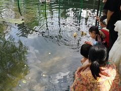 -长白岛森林公园