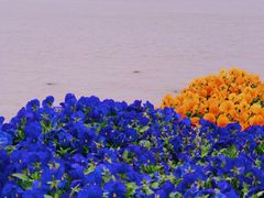 -滨江公园-停车场