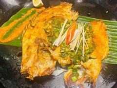 -雀舞云南菜(乐客城店)