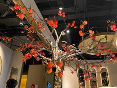 -佬肥猫(国华广场店)