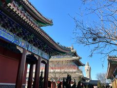 -天津妈祖文化园