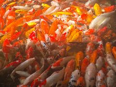 -番禺宾馆丽苑厅