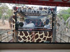 -清迈夜间动物园