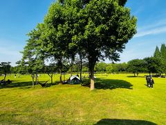 -宜兴龙背山森林公园