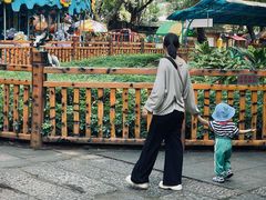 -晓港公园