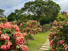 -中国科学院西双版纳热带植物园
