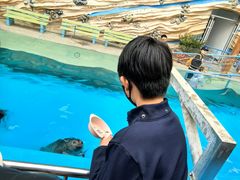 -泉城欧乐堡海洋极地世界