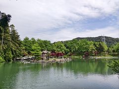 -四明山国家森林公园