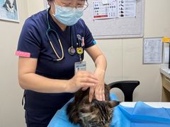 -美联众合爱康动物医院•复杂内科•肿瘤科•牙科•腔镜诊疗中心