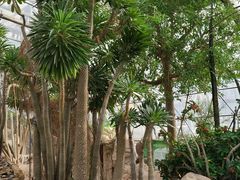 -北京植物园-展览温室