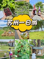 -太湖雪蚕桑文化园