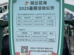 -荷兰花海