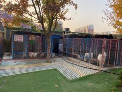 -萌宠亲子动物乐园(槐房万达店)