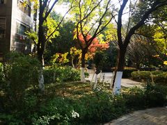 -天鹅湖体育公园