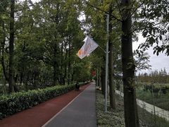 -上海长兴岛郊野公园