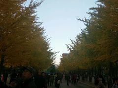 -辽宁大学(崇山校区)