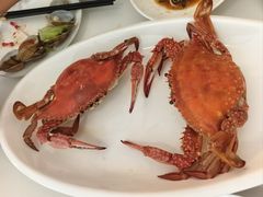 -闽海肴(北辰荟店)