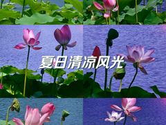 -什刹海