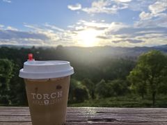 -Torch Coffee 炬点咖啡