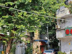 -溪岸路花鸟市场