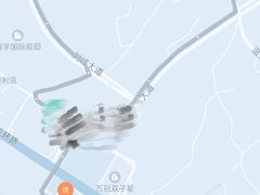 -金莲葱饼