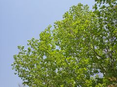 -乌素图国家森林公园