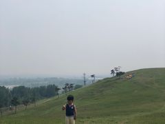 -恋山坝上草原