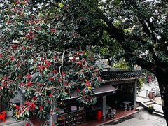 -碧江金楼