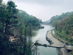 -广州市帽峰山景区