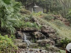 -晓港公园