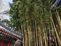 -潭柘寺景区