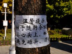 -北京石刻艺术博物馆(五塔寺)