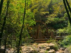 -四洞沟景区