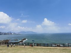 -小麦岛公园