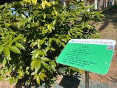 -广东中医药博物馆