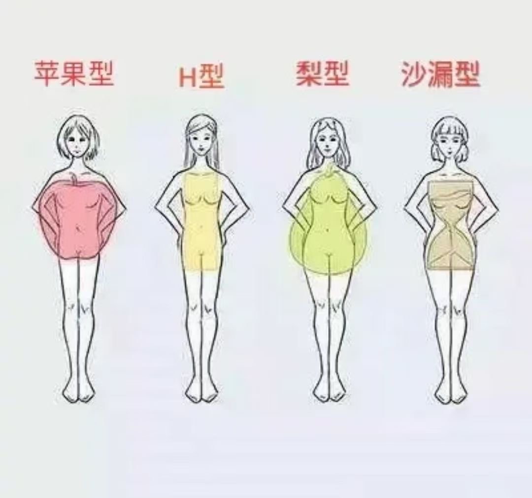 人体的五种体型图片