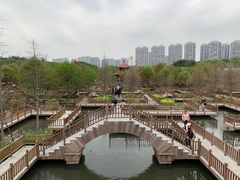 -五缘湾湿地公园