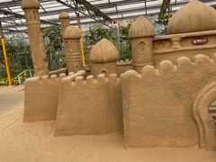 -南宫五洲植物乐园