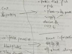 -JT PREP国际学科课程·IB·AP·Alevel(陆家嘴校区)