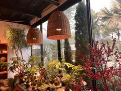 -自由生长植物工作室(深港花卉中心店)