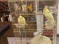 -潇湘·永州会馆(百子湾店)