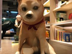 -光海书局(南京东路第一百货店)