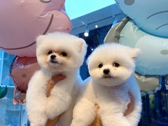 -萌兽医馆·眼科·异宠专科(三里屯店)