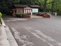 -灵谷景区