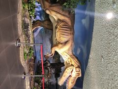 -大同煤炭博物馆