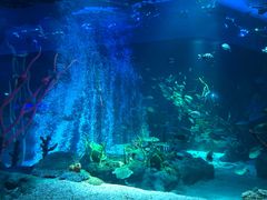 -沈阳海洋探索中心