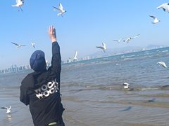 -老虎石海上公园