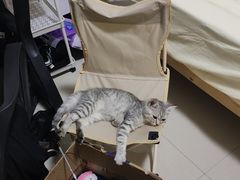 -桂林市花鸟市场